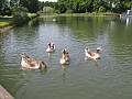 Copie de IMG_0297.jpg